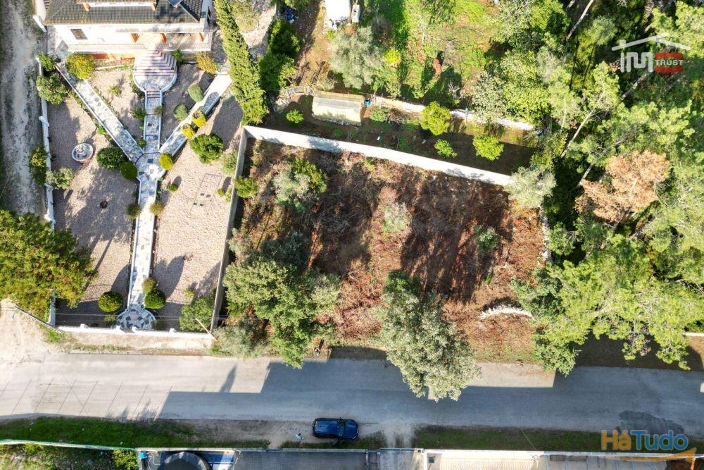 Fantástico Terreno Urbano próximo das Grutas de Mira de Aire Fantástico Terreno Urbano próximo das Grutas de Mira de Aire