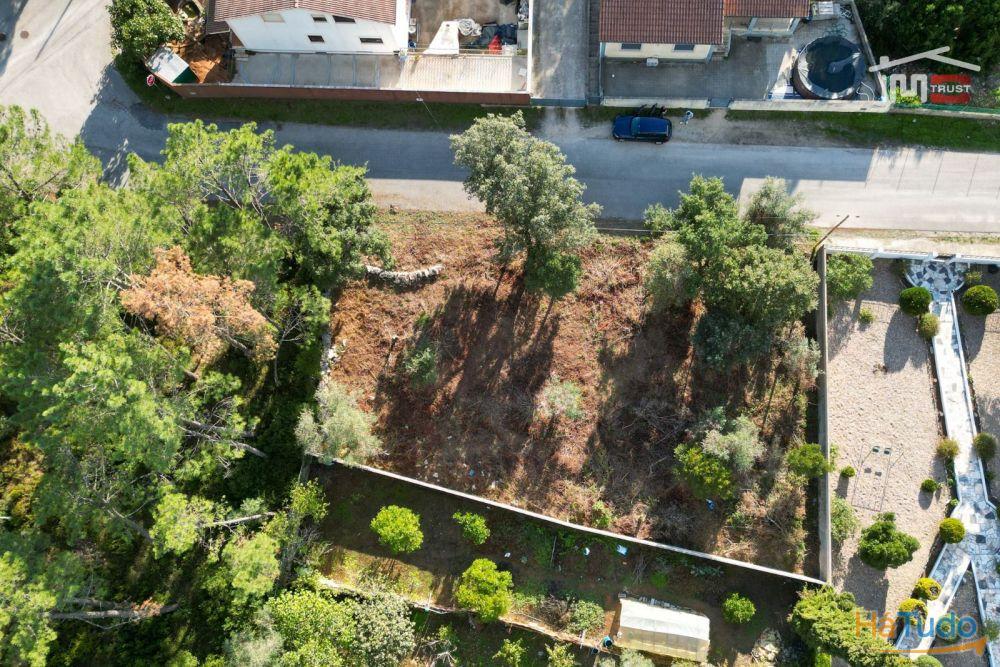 Fantástico Terreno Urbano próximo das Grutas de Mira de Aire Fantástico Terreno Urbano próximo das Grutas de Mira de Aire