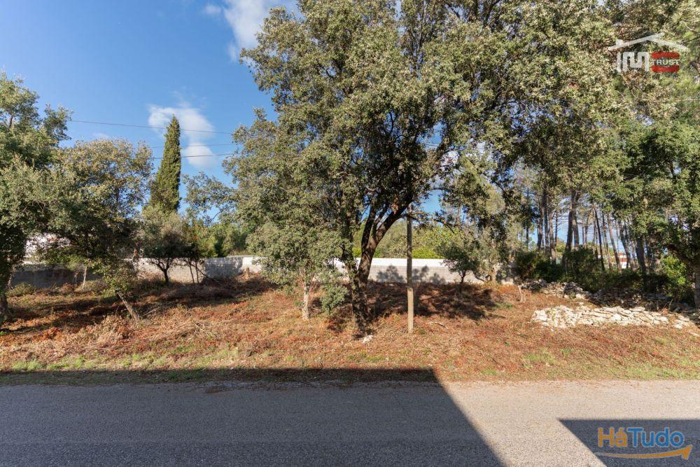 Fantástico Terreno Urbano próximo das Grutas de Mira de Aire Fantástico Terreno Urbano próximo das Grutas de Mira de Aire