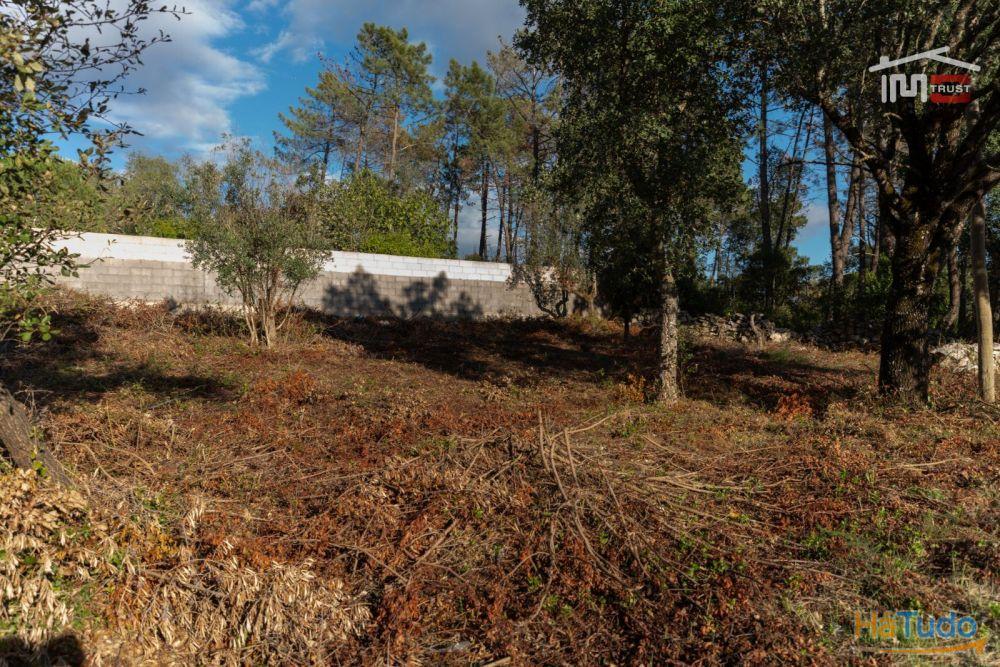 Fantástico Terreno Urbano próximo das Grutas de Mira de Aire Fantástico Terreno Urbano próximo das Grutas de Mira de Aire