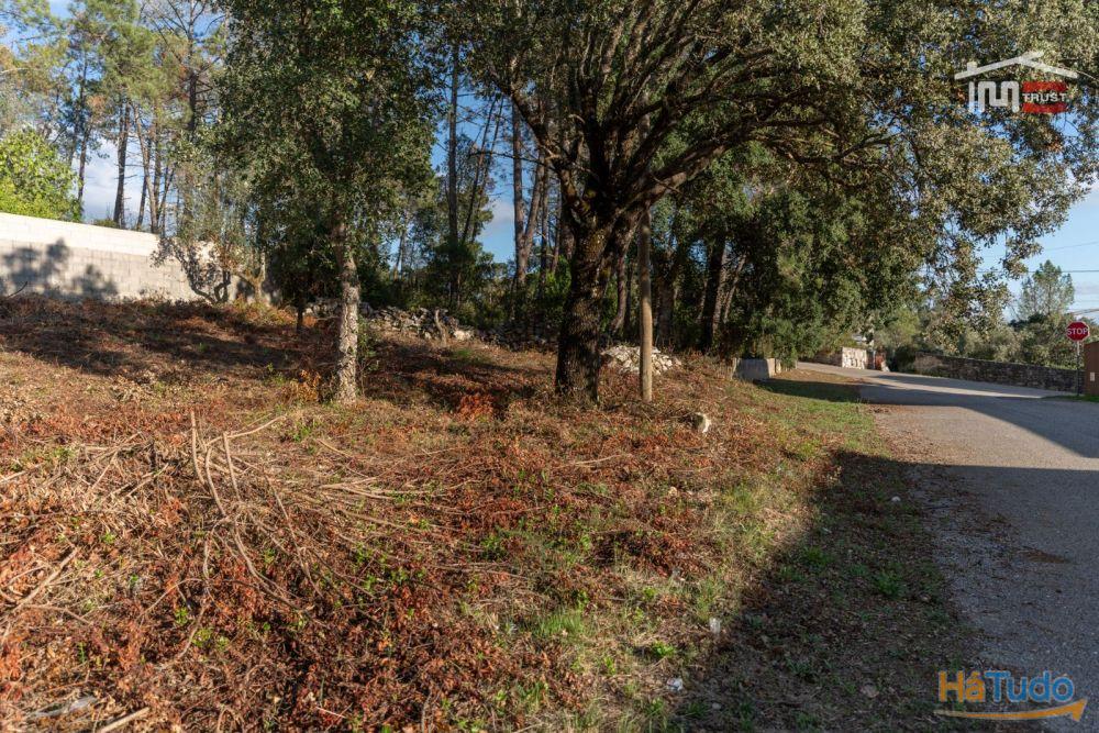 Fantástico Terreno Urbano próximo das Grutas de Mira de Aire Fantástico Terreno Urbano próximo das Grutas de Mira de Aire