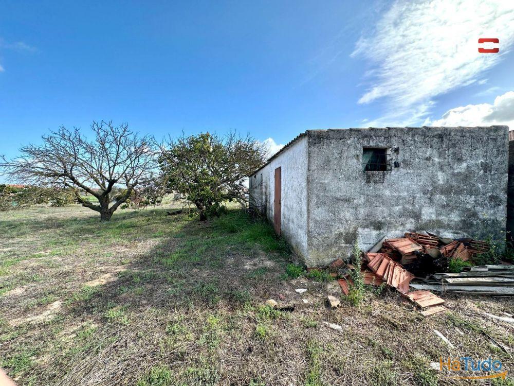 Terreno para Cultura Arvense, vinhas e damasqueiros com Anexo de 30m2 Terreno para Cultura Arvense, vinhas e damasqueiros com Anexo de 30m2