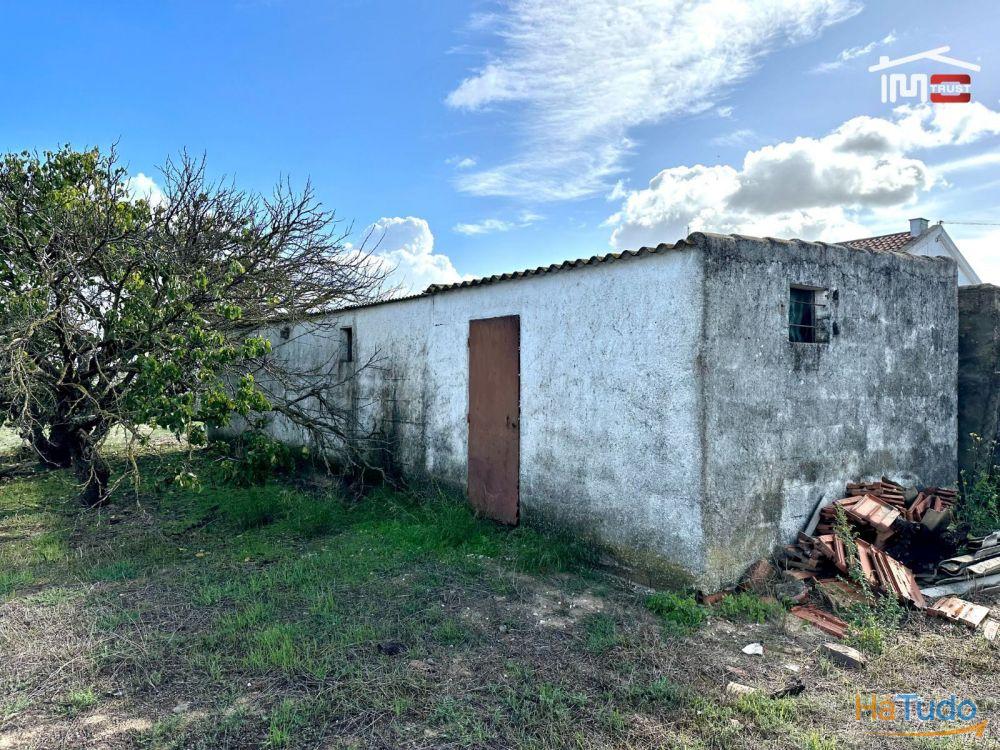 Terreno para Cultura Arvense, vinhas e damasqueiros com Anexo de 30m2 Terreno para Cultura Arvense, vinhas e damasqueiros com Anexo de 30m2