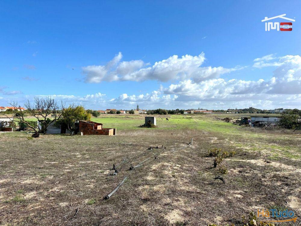 Terreno para Cultura Arvense, vinhas e damasqueiros com Anexo de 30m2 Terreno para Cultura Arvense, vinhas e damasqueiros com Anexo de 30m2
