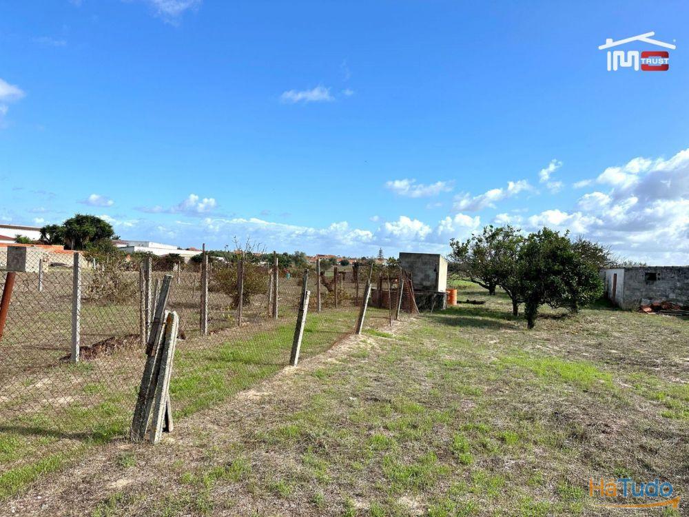 Terreno para Cultura Arvense, vinhas e damasqueiros com Anexo de 30m2 Terreno para Cultura Arvense, vinhas e damasqueiros com Anexo de 30m2