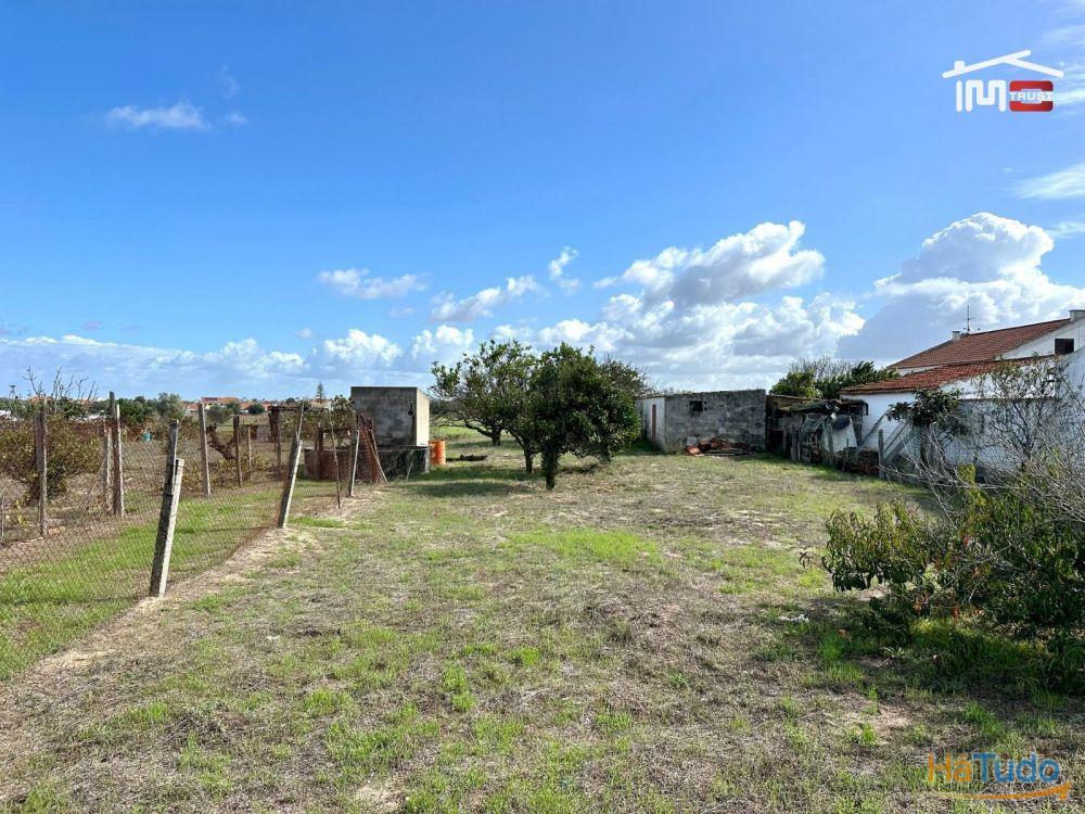 Terreno para Cultura Arvense, vinhas e damasqueiros com Anexo de 30m2 Terreno para Cultura Arvense, vinhas e damasqueiros com Anexo de 30m2