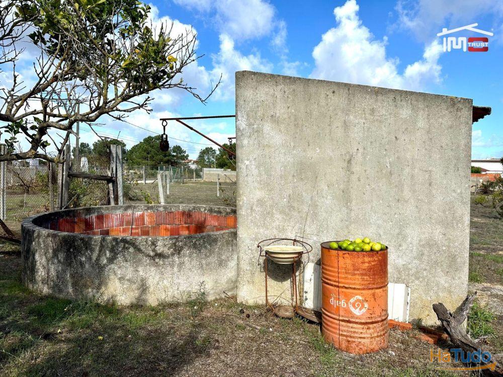 Terreno para Cultura Arvense, vinhas e damasqueiros com Anexo de 30m2 Terreno para Cultura Arvense, vinhas e damasqueiros com Anexo de 30m2