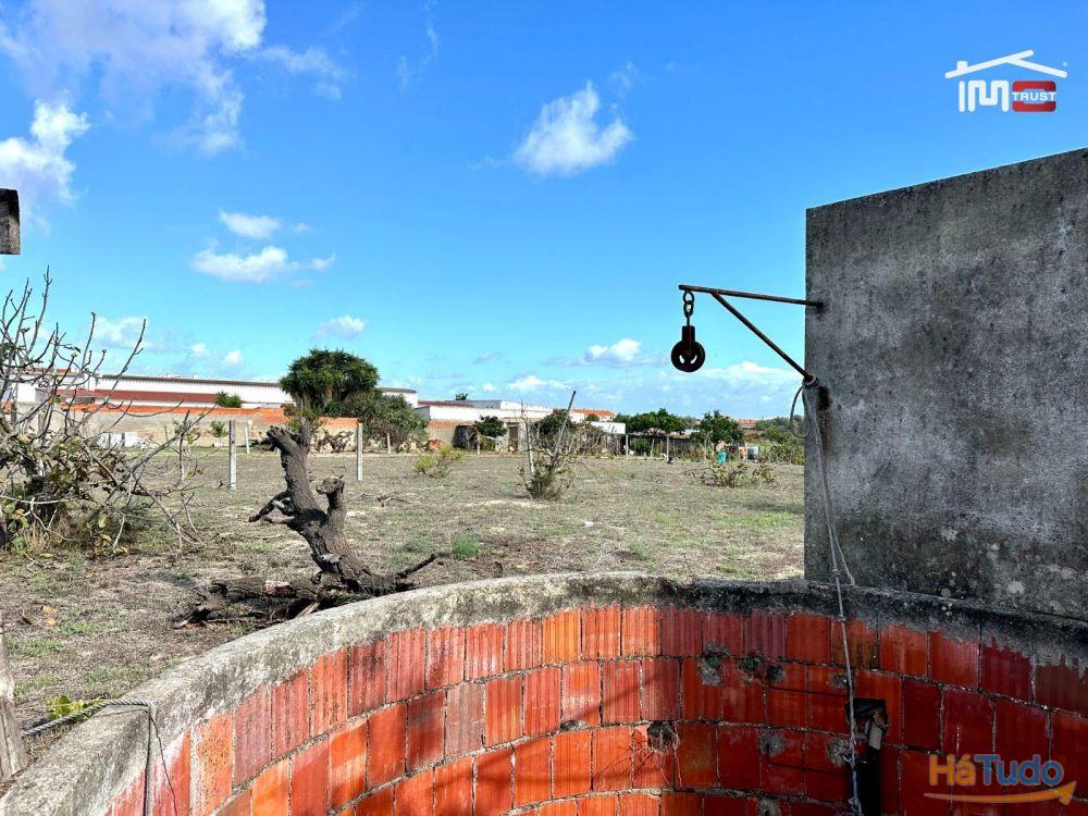 Terreno para Cultura Arvense, vinhas e damasqueiros com Anexo de 30m2 Terreno para Cultura Arvense, vinhas e damasqueiros com Anexo de 30m2