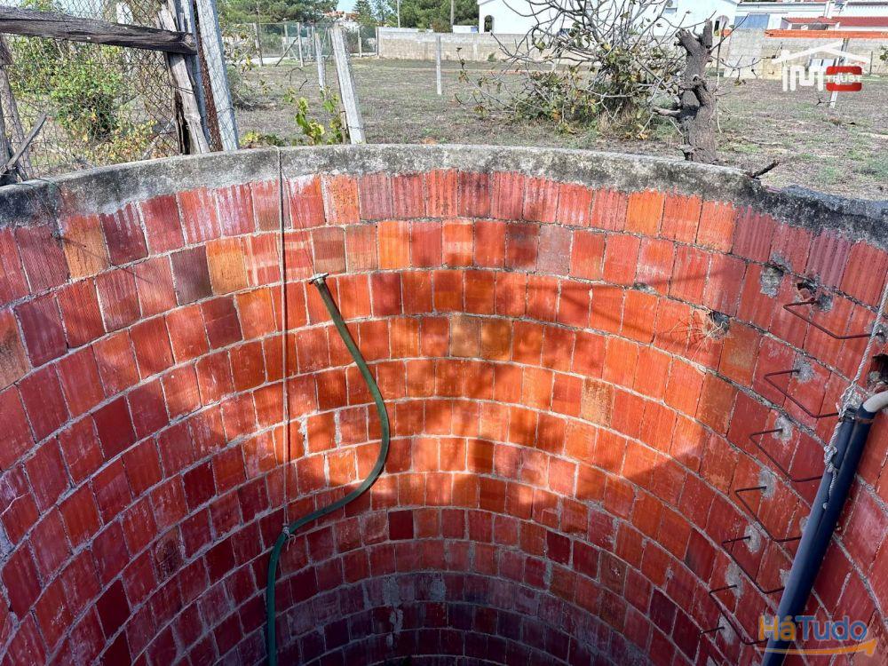 Terreno para Cultura Arvense, vinhas e damasqueiros com Anexo de 30m2 Terreno para Cultura Arvense, vinhas e damasqueiros com Anexo de 30m2