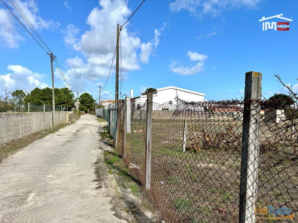 Terreno para Cultura Arvense, vinhas e damasqueiros com Anexo de 30m2 Terreno para Cultura Arvense, vinhas e damasqueiros com Anexo de 30m2