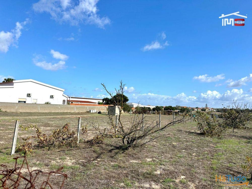 Terreno para Cultura Arvense, vinhas e damasqueiros com Anexo de 30m2 Terreno para Cultura Arvense, vinhas e damasqueiros com Anexo de 30m2