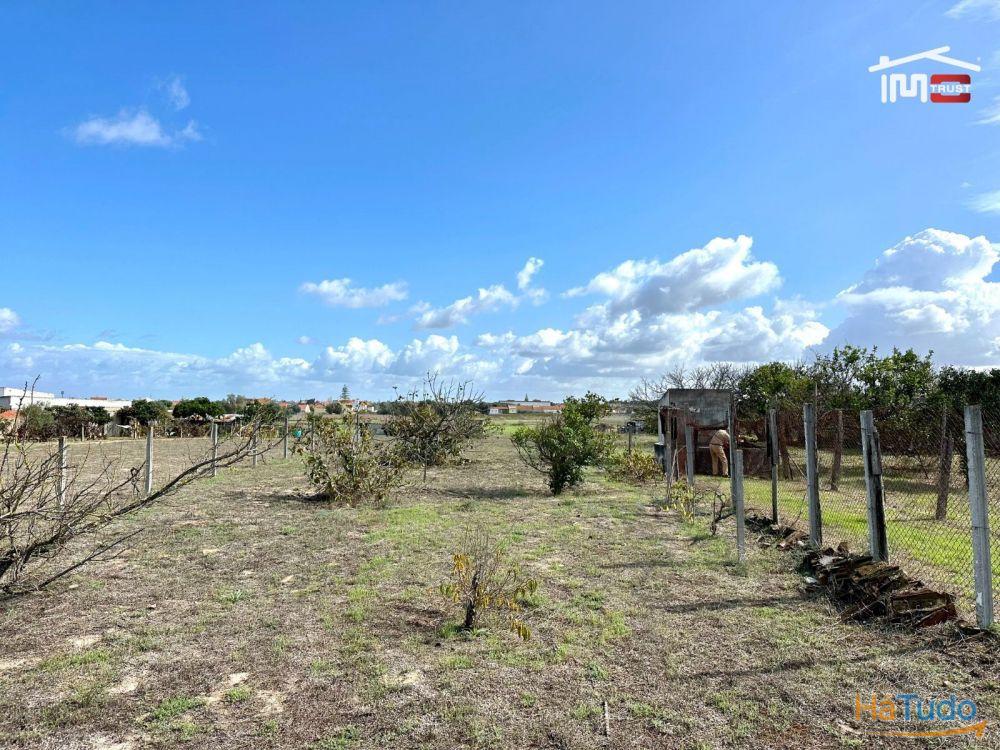 Terreno para Cultura Arvense, vinhas e damasqueiros com Anexo de 30m2 Terreno para Cultura Arvense, vinhas e damasqueiros com Anexo de 30m2