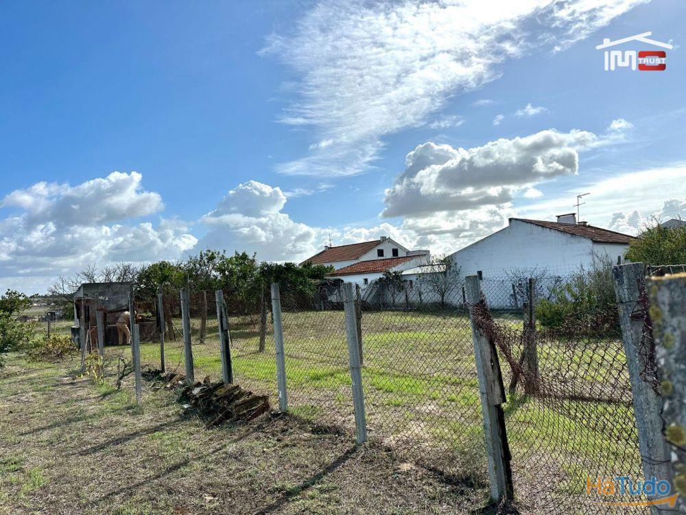 Terreno para Cultura Arvense, vinhas e damasqueiros com Anexo de 30m2 Terreno para Cultura Arvense, vinhas e damasqueiros com Anexo de 30m2