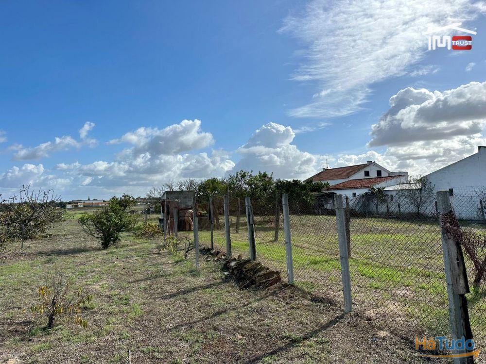Terreno para Cultura Arvense, vinhas e damasqueiros com Anexo de 30m2 Terreno para Cultura Arvense, vinhas e damasqueiros com Anexo de 30m2