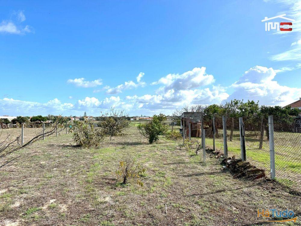 Terreno para Cultura Arvense, vinhas e damasqueiros com Anexo de 30m2 Terreno para Cultura Arvense, vinhas e damasqueiros com Anexo de 30m2