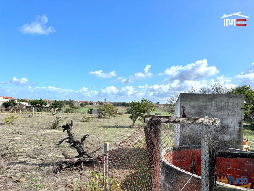 Terreno para Cultura Arvense, vinhas e damasqueiros com Anexo de 30m2 Terreno para Cultura Arvense, vinhas e damasqueiros com Anexo de 30m2
