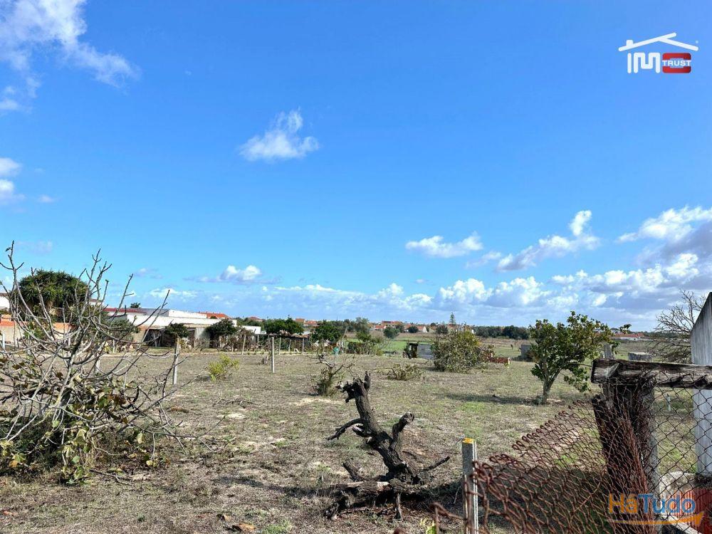 Terreno para Cultura Arvense, vinhas e damasqueiros com Anexo de 30m2 Terreno para Cultura Arvense, vinhas e damasqueiros com Anexo de 30m2