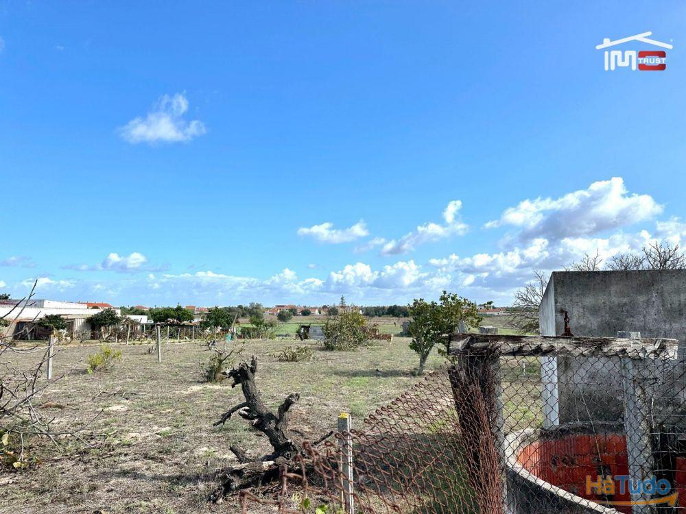 Terreno para Cultura Arvense, vinhas e damasqueiros com Anexo de 30m2 Terreno para Cultura Arvense, vinhas e damasqueiros com Anexo de 30m2