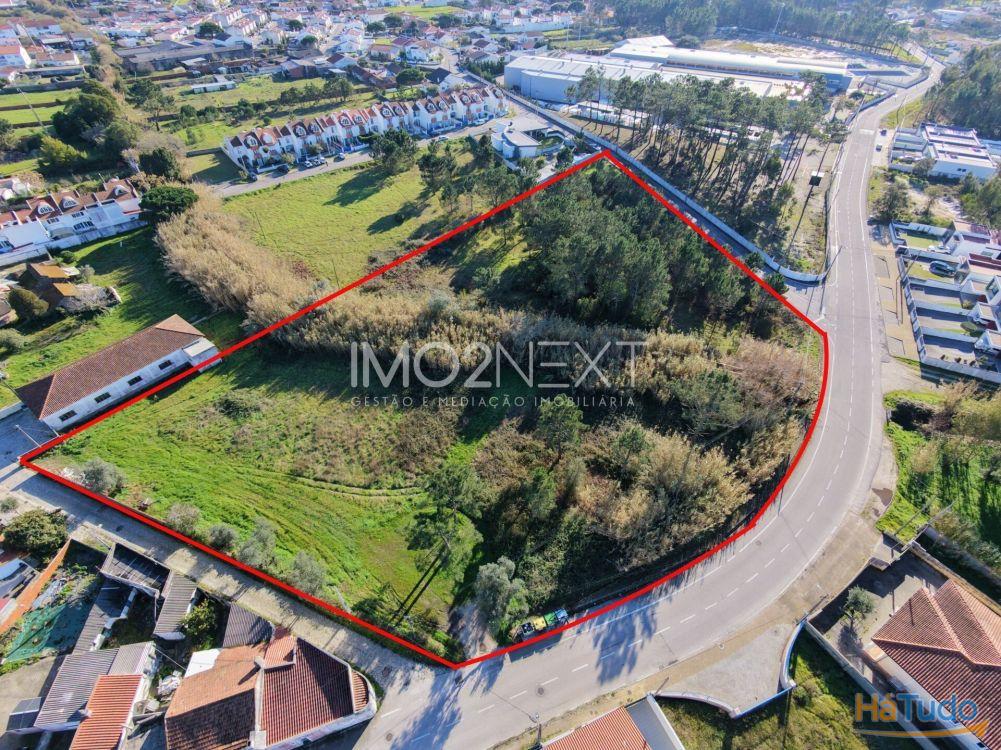 TERRENO PARA INVESTIMENTO ? CONSTRUÇÃO || PEDRA DE CIMA || MARINHA GRANDE TERRENO PARA INVESTIMENTO ? CONSTRUÇÃO || PEDRA DE CIMA || MARINHA GRANDE