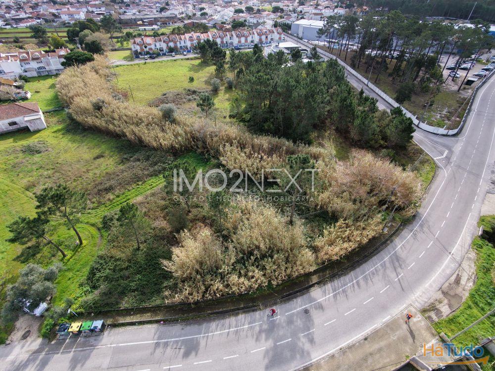 TERRENO PARA INVESTIMENTO ? CONSTRUÇÃO || PEDRA DE CIMA || MARINHA GRANDE TERRENO PARA INVESTIMENTO ? CONSTRUÇÃO || PEDRA DE CIMA || MARINHA GRANDE