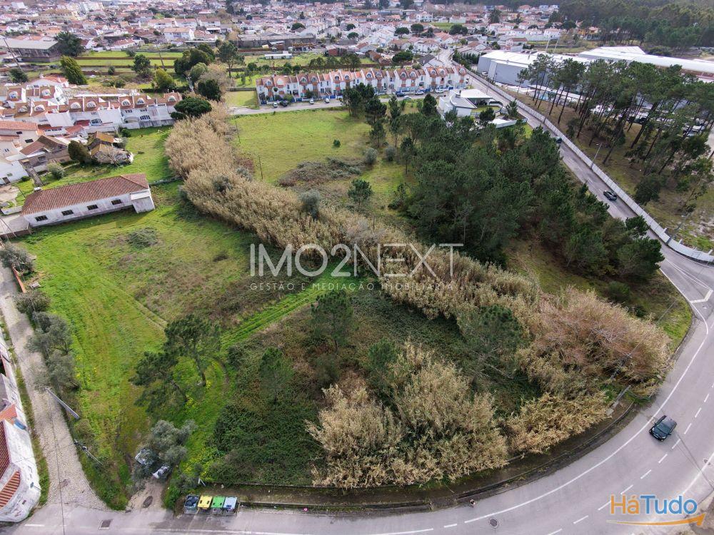 TERRENO PARA INVESTIMENTO ? CONSTRUÇÃO || PEDRA DE CIMA || MARINHA GRANDE TERRENO PARA INVESTIMENTO ? CONSTRUÇÃO || PEDRA DE CIMA || MARINHA GRANDE