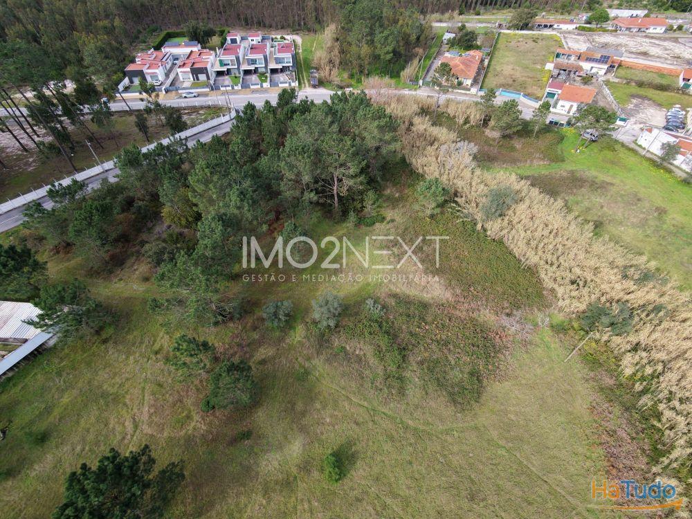 TERRENO PARA INVESTIMENTO ? CONSTRUÇÃO || PEDRA DE CIMA || MARINHA GRANDE TERRENO PARA INVESTIMENTO ? CONSTRUÇÃO || PEDRA DE CIMA || MARINHA GRANDE