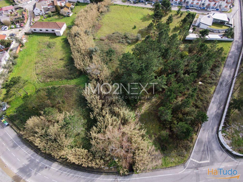 TERRENO PARA INVESTIMENTO ? CONSTRUÇÃO || PEDRA DE CIMA || MARINHA GRANDE TERRENO PARA INVESTIMENTO ? CONSTRUÇÃO || PEDRA DE CIMA || MARINHA GRANDE