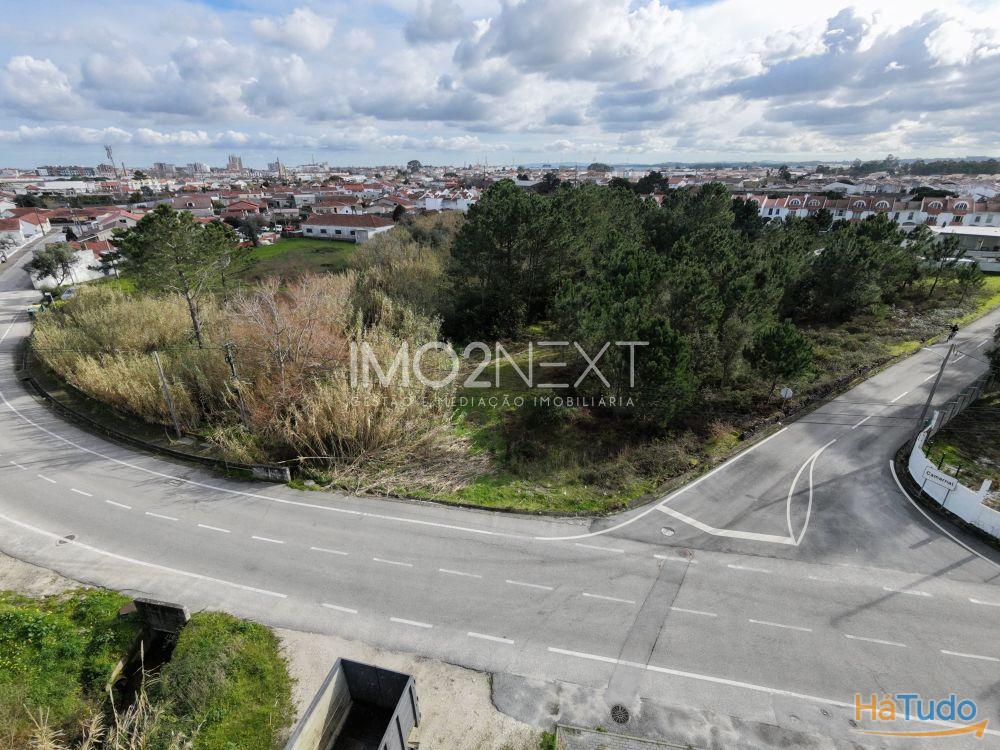TERRENO PARA INVESTIMENTO ? CONSTRUÇÃO || PEDRA DE CIMA || MARINHA GRANDE TERRENO PARA INVESTIMENTO ? CONSTRUÇÃO || PEDRA DE CIMA || MARINHA GRANDE
