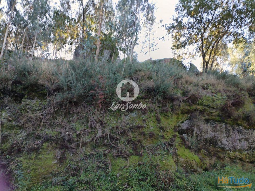 Terreno rústico Quinchães Fafe Terreno rústico Quinchães Fafe