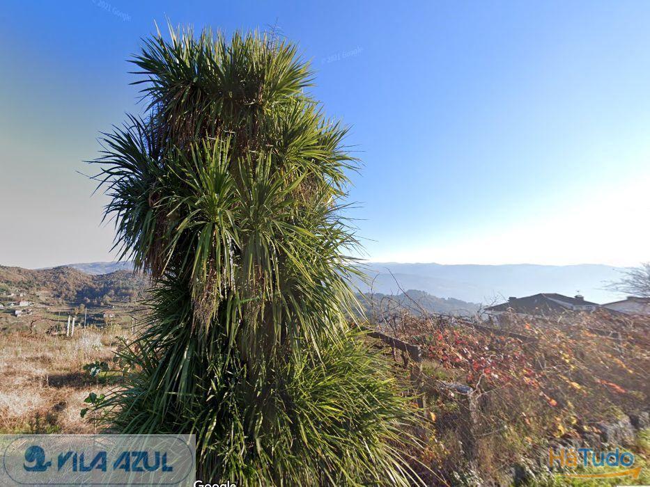 Terreno Agrícola - Baião Terreno Agrícola - Baião