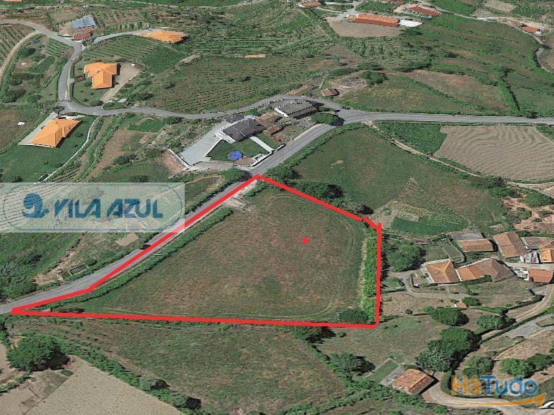 Terreno Agrícola - Baião Terreno Agrícola - Baião