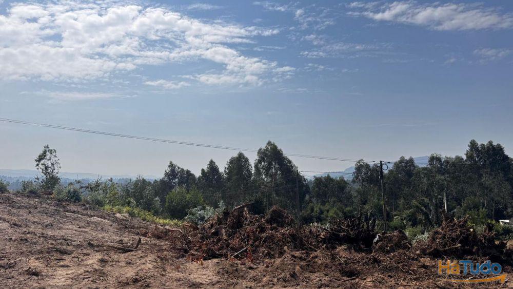 Terreno de construção para venda em Rio Covo Santa Eulália - Barcelos Terreno de construção para venda em Rio Covo Santa Eulália - Barcelos