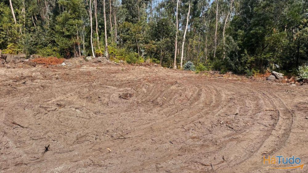 Terreno de construção para venda em Rio Covo Santa Eulália - Barcelos Terreno de construção para venda em Rio Covo Santa Eulália - Barcelos