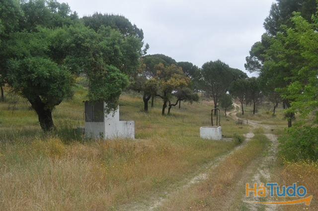 Herdade, para venda, Ponte de Sor - Foros de Arrão Herdade, para venda, Ponte de Sor - Foros de Arrão