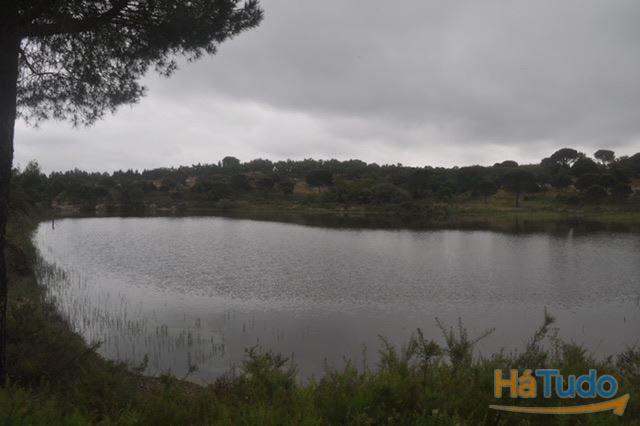 Herdade, para venda, Ponte de Sor - Foros de Arrão Herdade, para venda, Ponte de Sor - Foros de Arrão