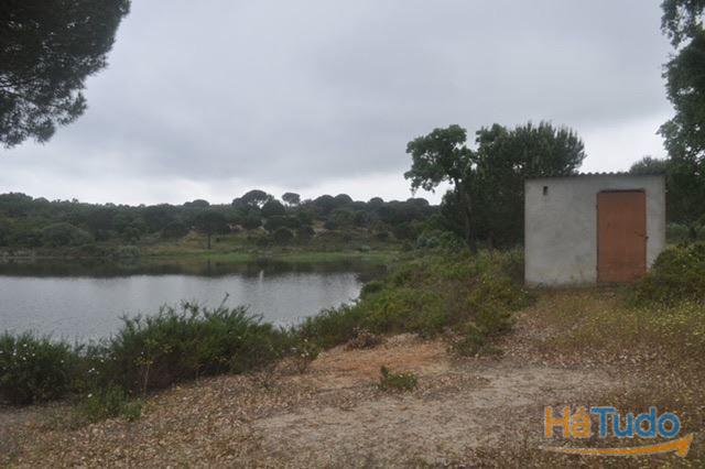 Herdade, para venda, Ponte de Sor - Foros de Arrão Herdade, para venda, Ponte de Sor - Foros de Arrão
