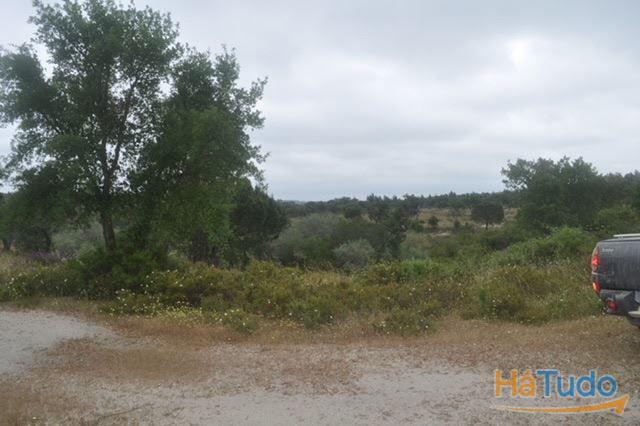 Herdade, para venda, Ponte de Sor - Foros de Arrão Herdade, para venda, Ponte de Sor - Foros de Arrão