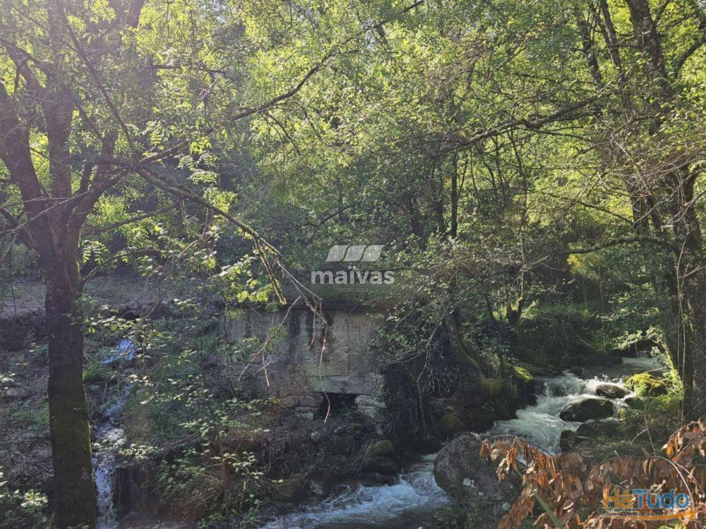 Moinhos em Valdreu, Vila Verde Moinhos em Valdreu, Vila Verde