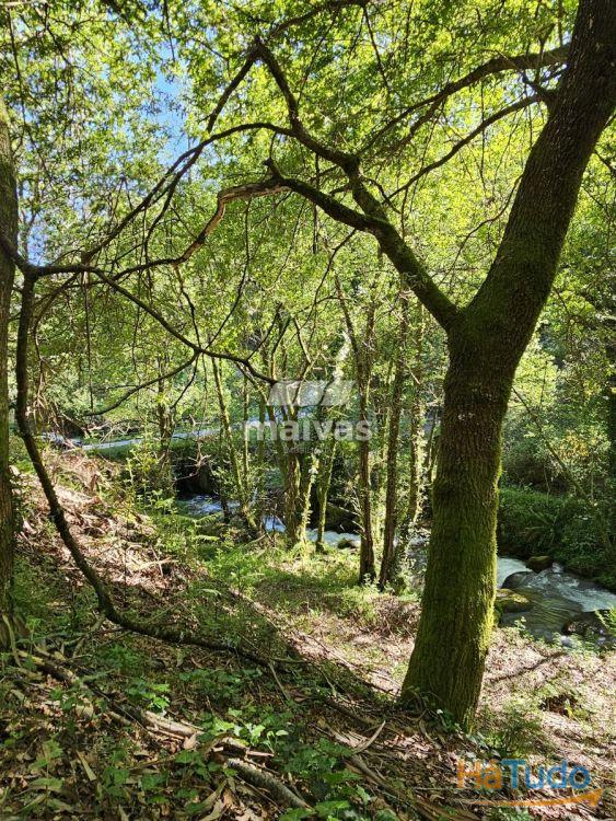 Moinhos em Valdreu, Vila Verde Moinhos em Valdreu, Vila Verde