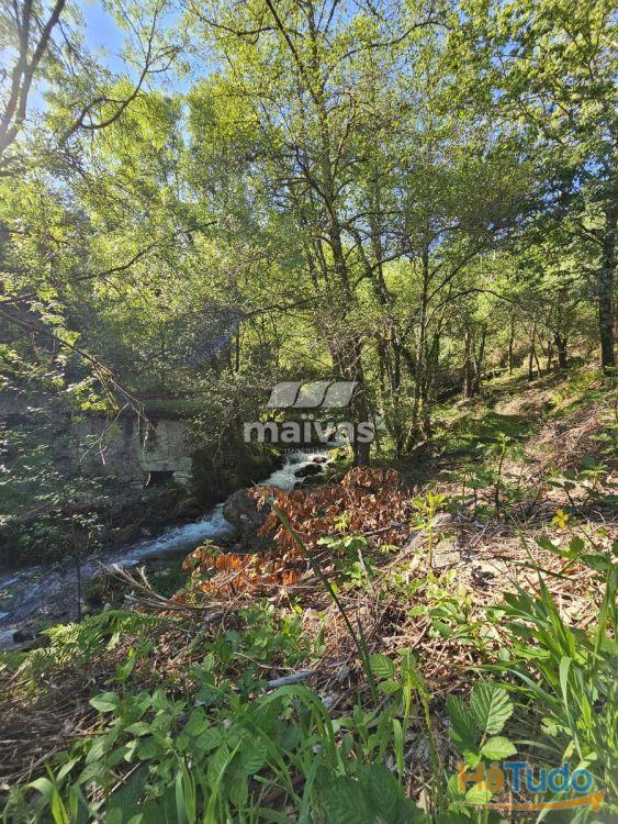 Moinhos em Valdreu, Vila Verde Moinhos em Valdreu, Vila Verde