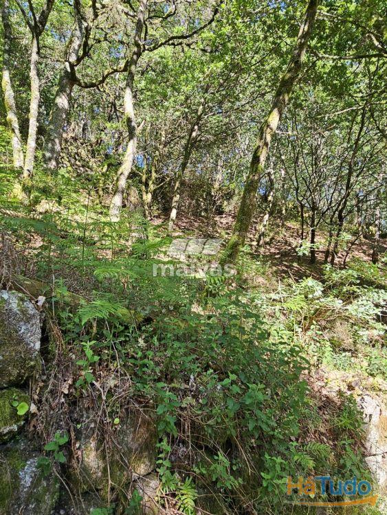 Moinhos em Valdreu, Vila Verde Moinhos em Valdreu, Vila Verde