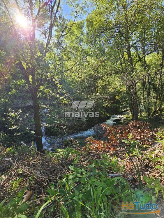 Moinhos em Valdreu, Vila Verde Moinhos em Valdreu, Vila Verde