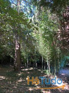 Quinta a venda Quinta a venda