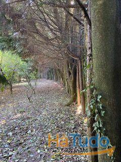 Quinta a venda Quinta a venda