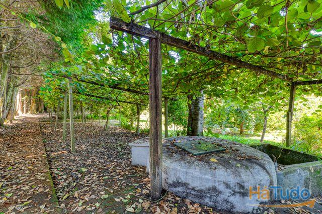 Quinta a venda Quinta a venda