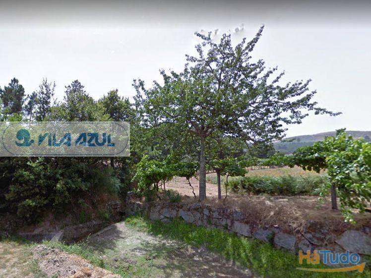 Terreno de Monte - rústico - Gestaçô Baião Terreno de Monte - rústico - Gestaçô Baião