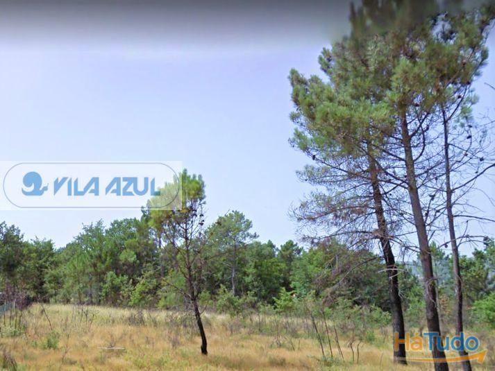 Terreno de Monte - rústico - Gestaçô Baião Terreno de Monte - rústico - Gestaçô Baião