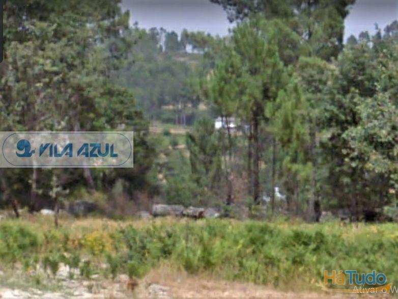 Terreno de Monte - rústico - Gestaçô Baião Terreno de Monte - rústico - Gestaçô Baião