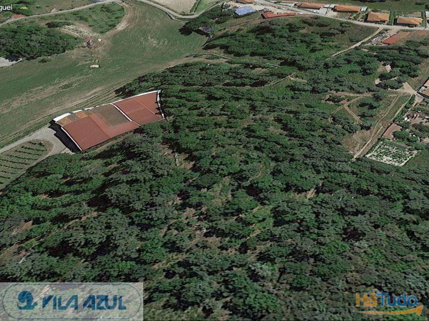 Terreno de Monte - rústico - Gestaçô Baião Terreno de Monte - rústico - Gestaçô Baião