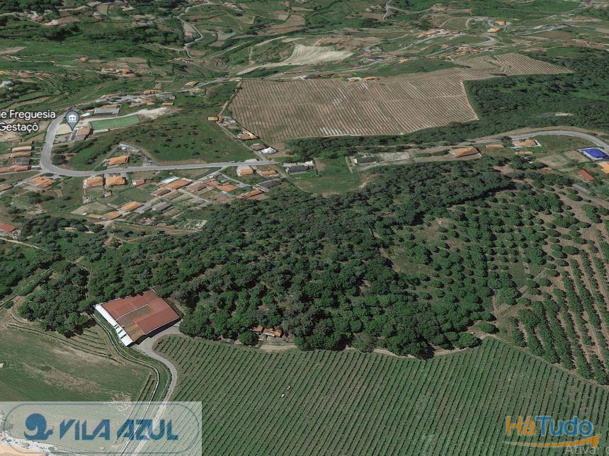 Terreno de Monte - rústico - Gestaçô Baião Terreno de Monte - rústico - Gestaçô Baião